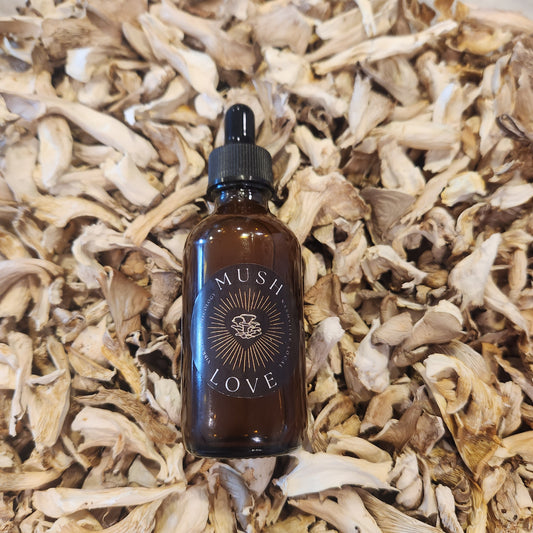 Brain Food Lion's Mane Mushroom Tincture